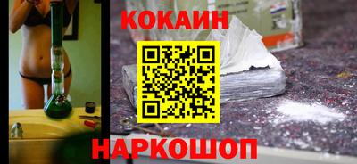 крисы Кингисепп