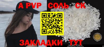 крисы Кингисепп
