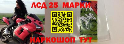 крисы Кингисепп