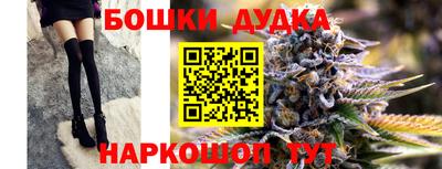 крисы Кингисепп