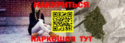 крисы Кингисепп