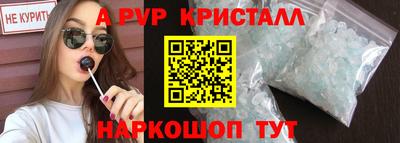 крисы Кингисепп