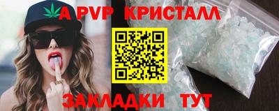 крисы Кингисепп