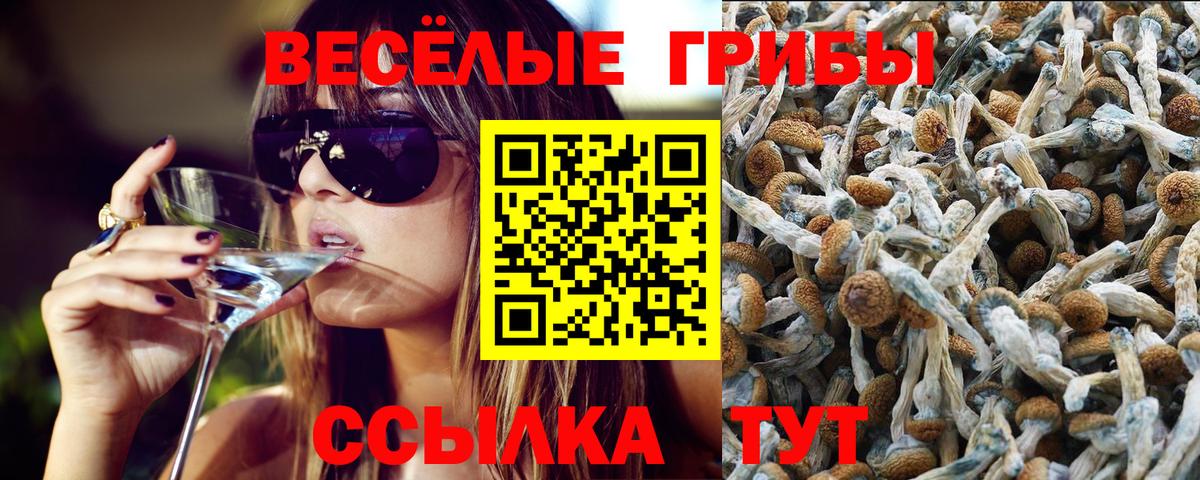 Псилоцибиновые грибы ЛСД Красноуфимск